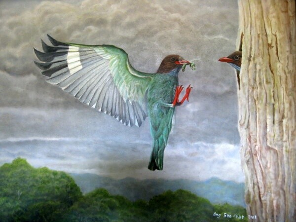 Painting titled "Broad Bill - Feedin…" by Ong Sookeat, Original Artwork, Oil