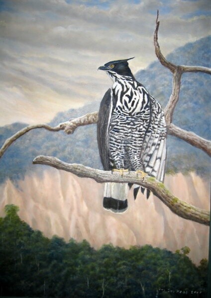 Painting titled "Aloft - Crested Haw…" by Ong Sookeat, Original Artwork