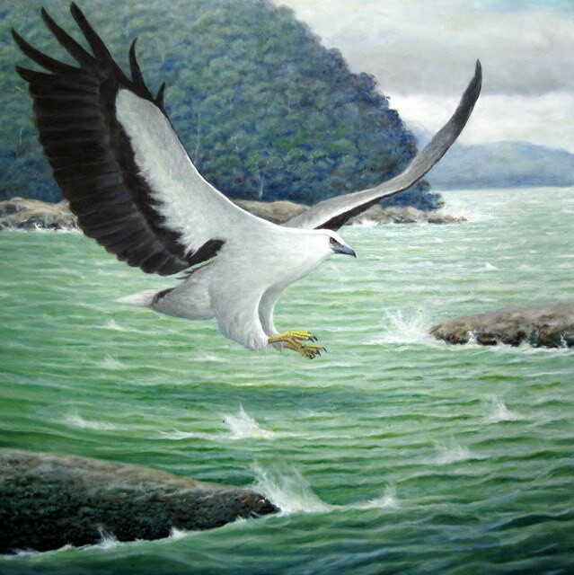 Painting titled "White Bellied Sea E…" by Ong Sookeat, Original Artwork