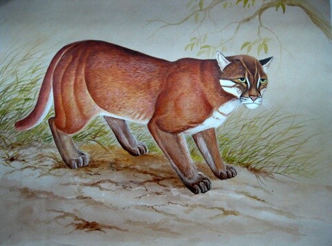 Painting titled "Golden Cat" by Ong Sookeat, Original Artwork