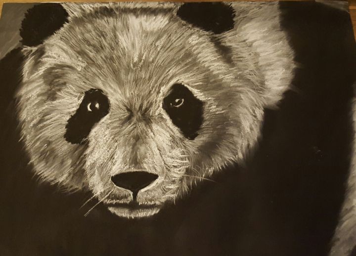 Disegno intitolato "Le panda" da Onlyartevent, Opera d'arte originale