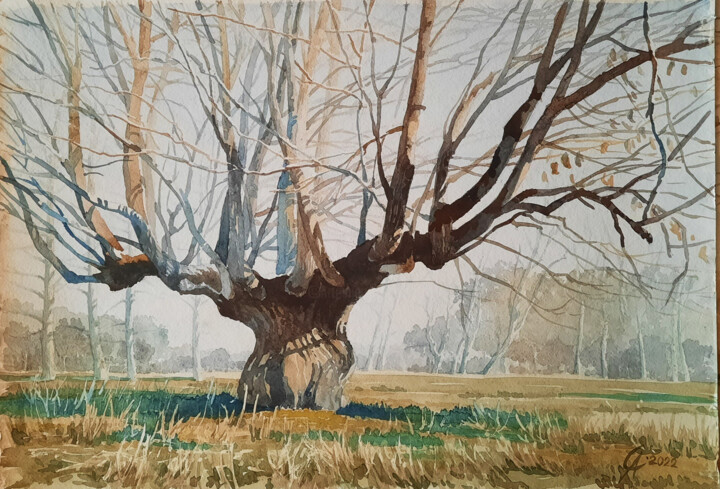 Картина под названием "Старое дерево" - Алексей Степанков, Подлинное произведение искусства, Акварель