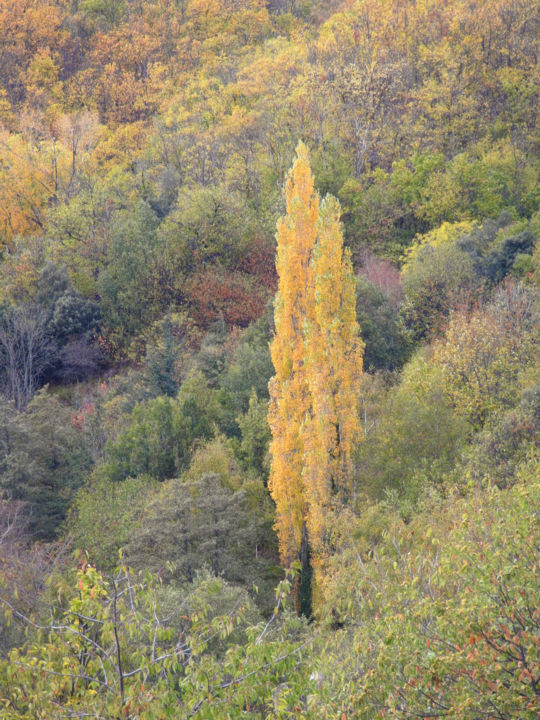 Fotografia zatytułowany „Derniers éclats.” autorstwa Alain Brasseur, Oryginalna praca