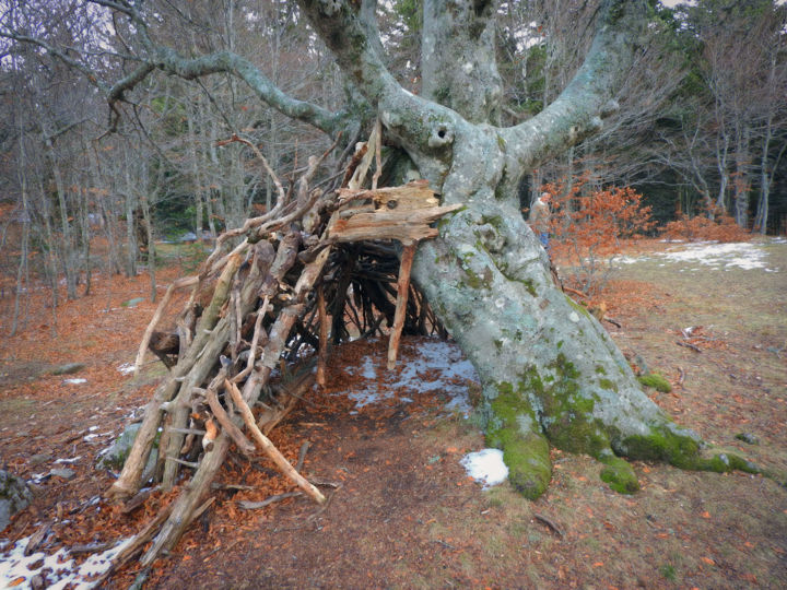 Aanvullende afbeeldingen 2