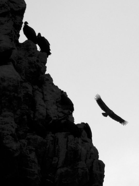 Photographie intitulée "Salto del Gitano  /…" par Alain Brasseur, Œuvre d'art originale