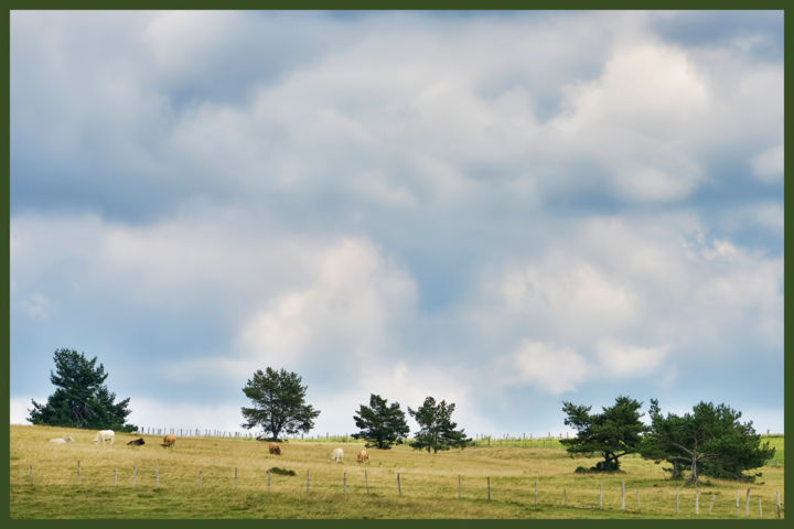 Photographie intitulée "Campagne Lozèrienne." par Alain Brasseur, Œuvre d'art originale