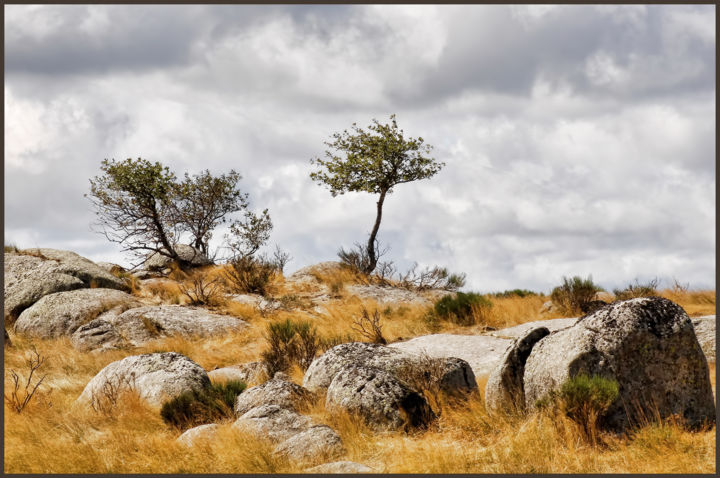 Fotografia intitolato "Mont Lozère" da Alain Brasseur, Opera d'arte originale