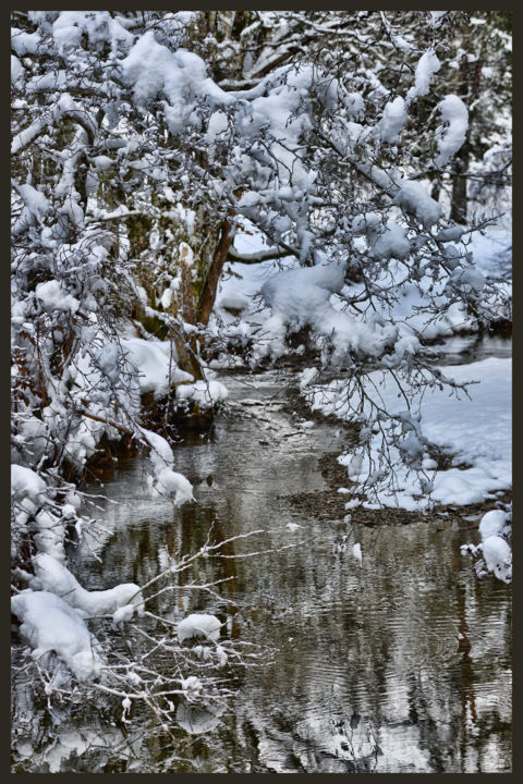 Photographie intitulée "Le Tarn près de sa…" par Alain Brasseur, Œuvre d'art originale