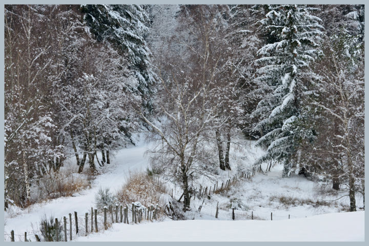 Fotografia zatytułowany „Le bel hiver....34” autorstwa Alain Brasseur, Oryginalna praca