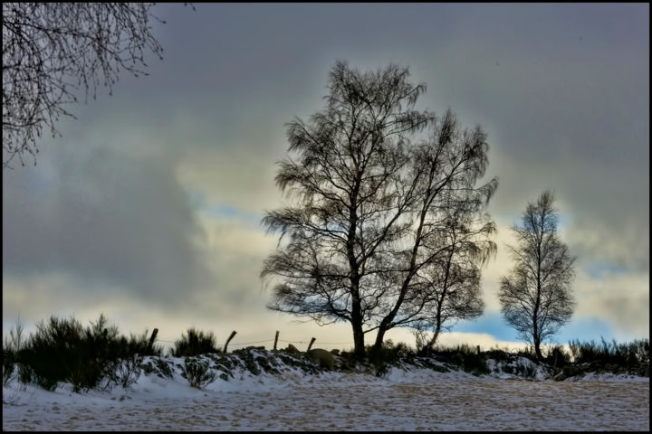 Фотография под названием "Le bel hiver.....40" - Alain Brasseur, Подлинное произведение искусства