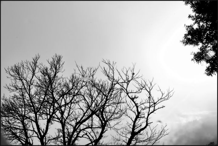 Fotografia zatytułowany „Le bel hiver.....158” autorstwa Alain Brasseur, Oryginalna praca