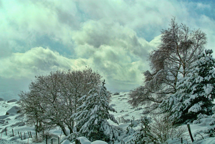 Fotografía titulada "Le bel hiver 237" por Alain Brasseur, Obra de arte original