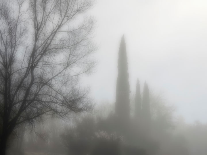 Photography titled "Brouillard" by Alain Brasseur, Original Artwork