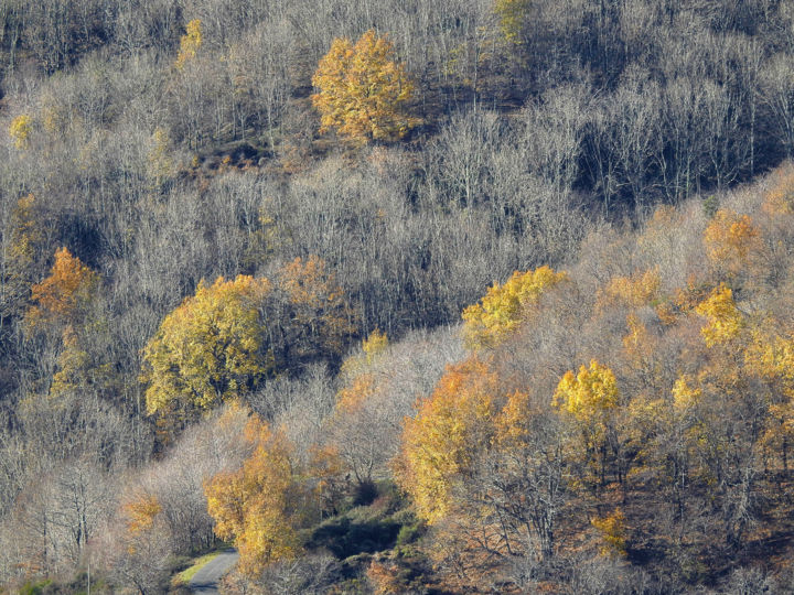 Photographie intitulée "Résistance. 3" par Alain Brasseur, Œuvre d'art originale