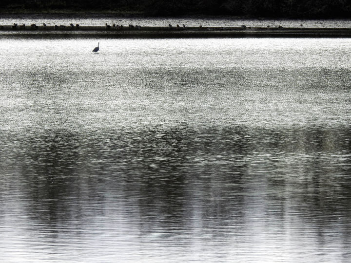 Fotografia zatytułowany „Etang à Villars les…” autorstwa Alain Brasseur, Oryginalna praca