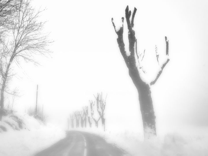 Fotografía titulada "Souffrances hiverna…" por Alain Brasseur, Obra de arte original