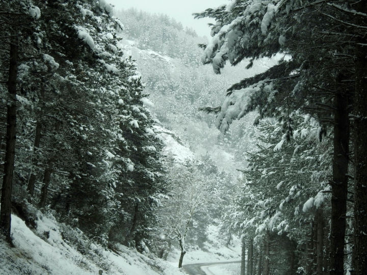 Photography titled "Enneigement tardif." by Alain Brasseur, Original Artwork