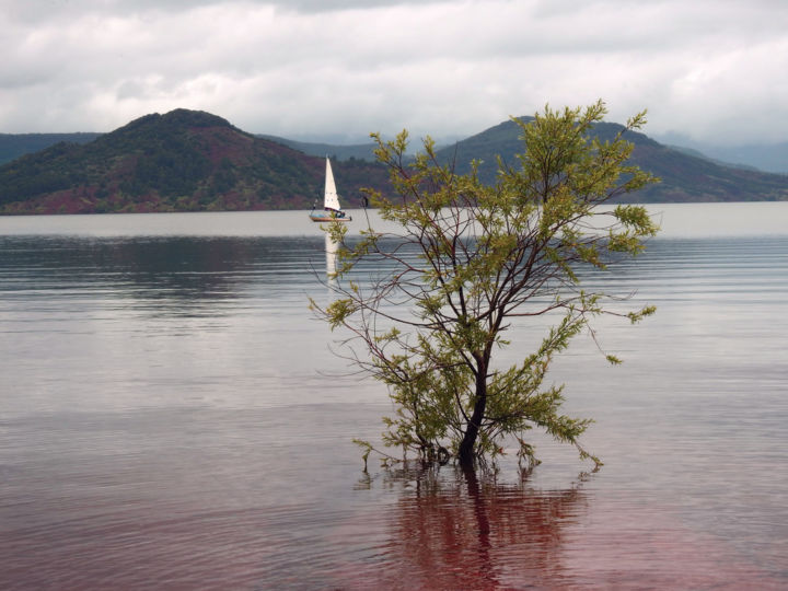 Photographie intitulée "Lac du Salagou  (Hé…" par Alain Brasseur, Œuvre d'art originale