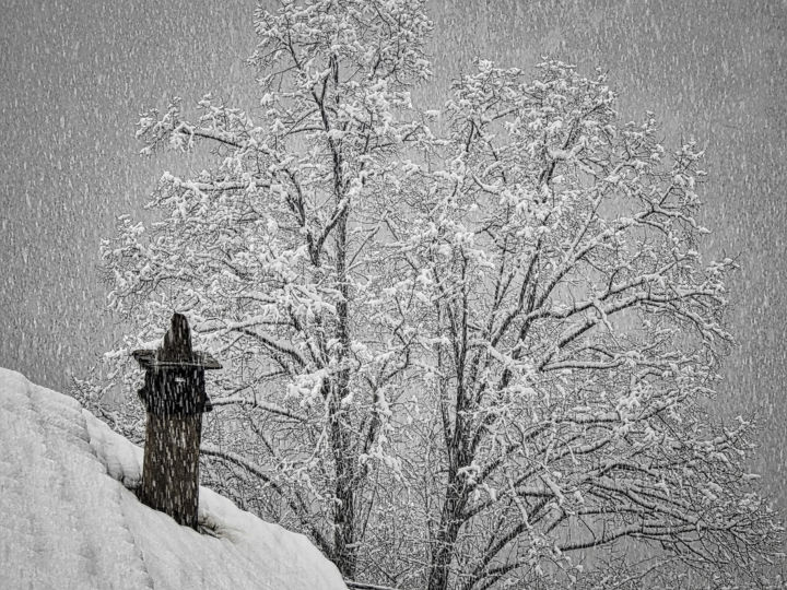 Φωτογραφία με τίτλο "J'aime l'hiver qui…" από Alain Brasseur, Αυθεντικά έργα τέχνης