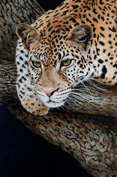 Картина под названием "Леопард" - Татьяна Орфенова, Подлинное произведение искусства, Масло
