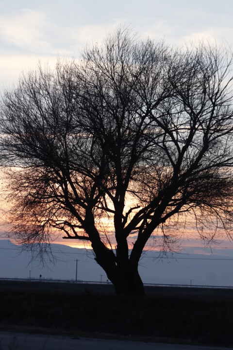 「sunset」というタイトルの写真撮影 Orhan Güldesteによって, オリジナルのアートワーク, デジタル