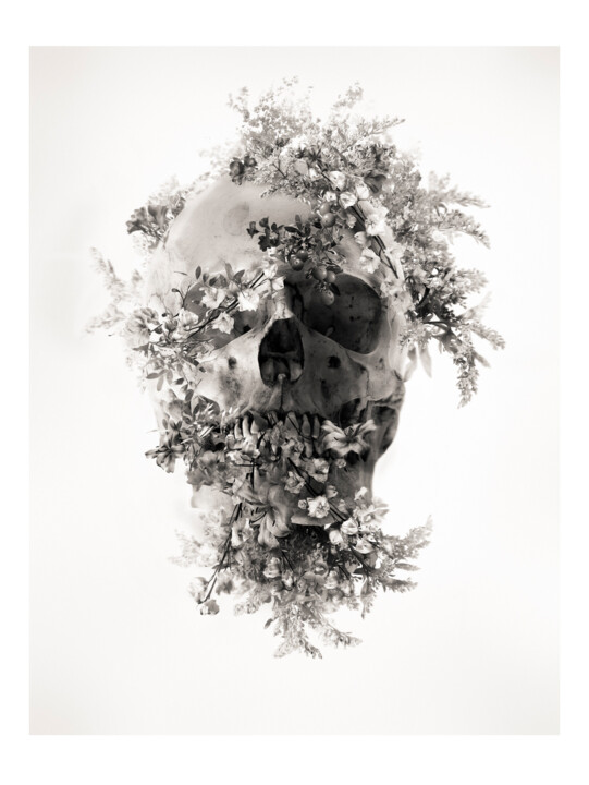 Fotografía titulada "Calavera" por Oriol Jolonch, Obra de arte original, Fotografía digital