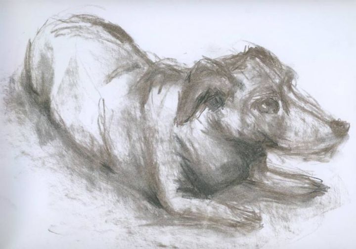Dessin intitulée "Hund" par Ralf Czekalla, Œuvre d'art originale, Fusain