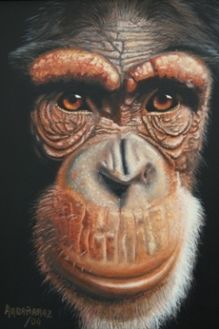 Картина под названием "Chimpancé" - Orlando Argañaraz, Подлинное произведение искусства, Масло