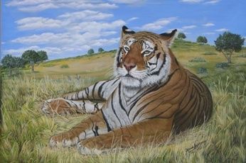 Картина под названием "Tigre de la India" - Orlando Argañaraz, Подлинное произведение искусства, Масло