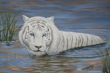 Картина под названием "Tigre Blanco" - Orlando Argañaraz, Подлинное произведение искусства, Масло