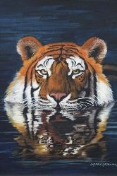 Pintura titulada "Tigre en el agua" por Orlando Argañaraz, Obra de arte original, Oleo
