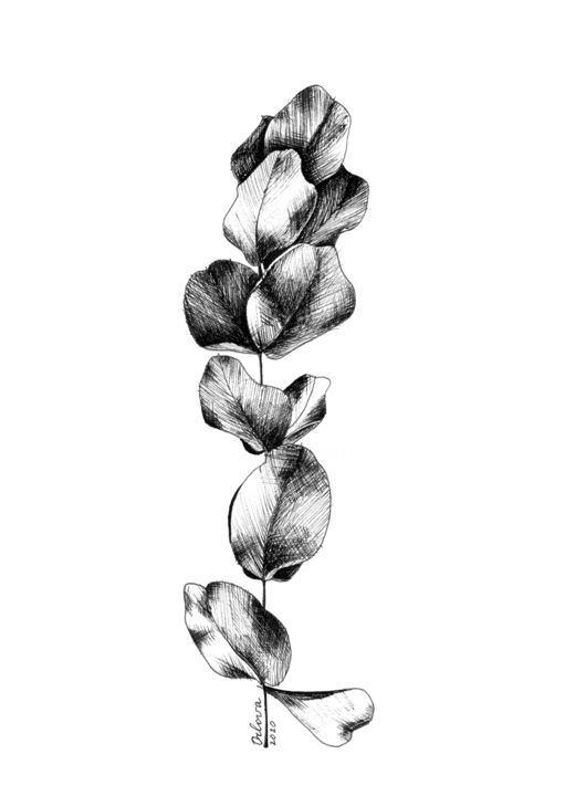 Dessin intitulée "Eucalyptus" par Natali Orlova, Œuvre d'art originale, Stylo gel