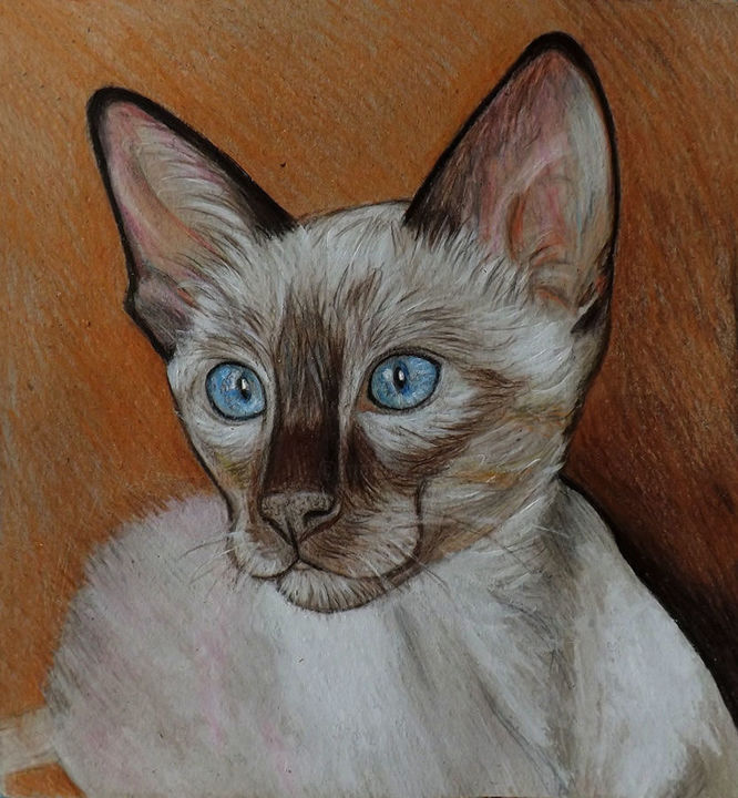 Pittura intitolato "siaritratto gatto s…" da Ornella Di Scala, Opera d'arte originale