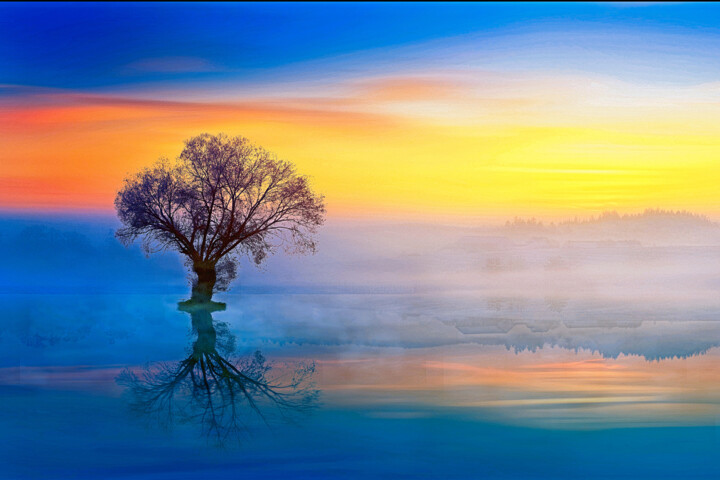 Digitale Kunst getiteld "lone tree sunset" door Melih Ortatepe, Origineel Kunstwerk, Digitaal Schilderwerk