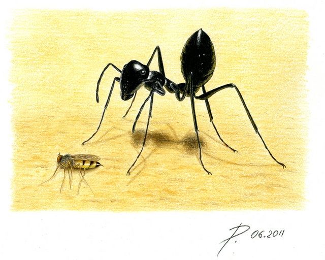 Painting titled "Пустынный муравей" by Orubchic, Original Artwork