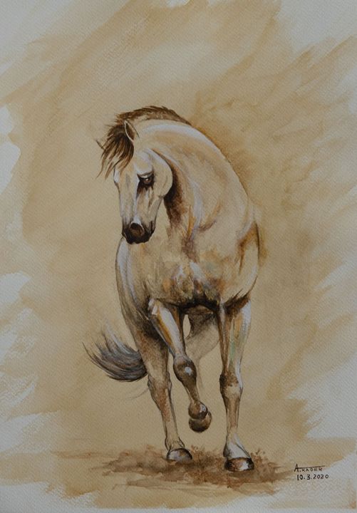 Painting titled "Cheval arabe" by Oussama Asri, Original Artwork, Watercolor