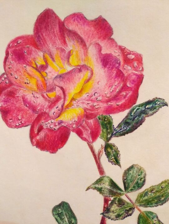 Zeichnungen mit dem Titel "Rose" von Viktoriia Gorn, Original-Kunstwerk, Conté-Buntstifte