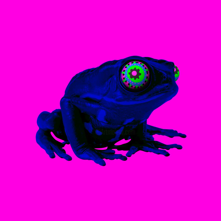 Digitale Kunst getiteld "frog" door Oxana Kolyagina, Origineel Kunstwerk, Collages