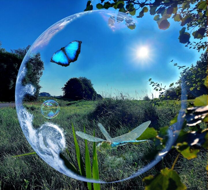 Öyvind Ander (Schweden), Digitaler zeitgenössischer Künstler Artmajeur