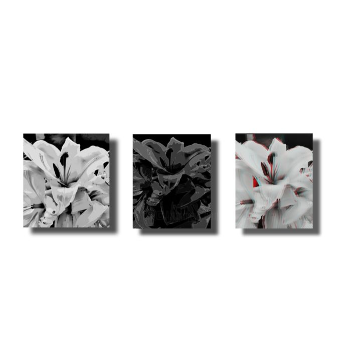 Φωτογραφία με τίτλο "Trio" από Ozz, Αυθεντικά έργα τέχνης, Ψηφιακή φωτογραφία
