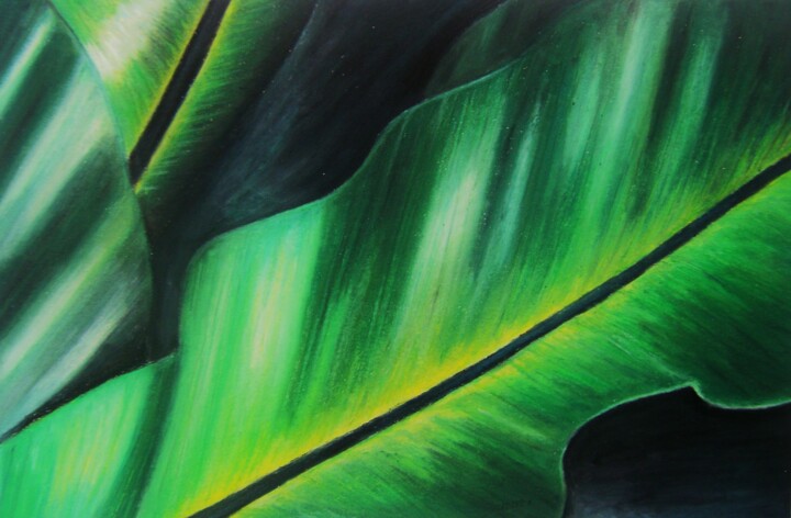 Drawing titled "Tropical leaf" by P. Le Sommer, Original Artwork, Pastel