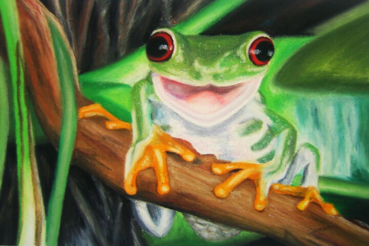 Drawing titled "Grenouille" by P. Le Sommer, Original Artwork, Pastel