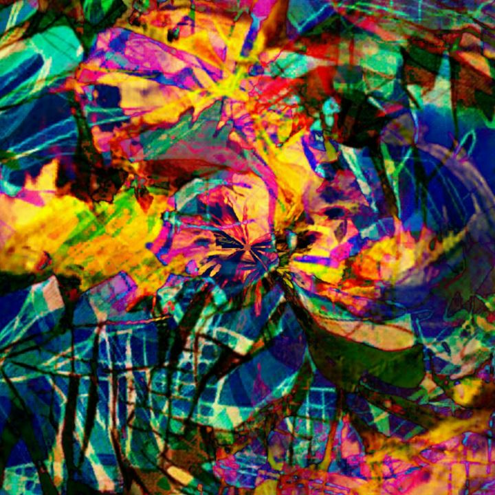 Digital Arts titled "colour blast" by P W Van Dijck, Original Artwork, 2D Digital Work