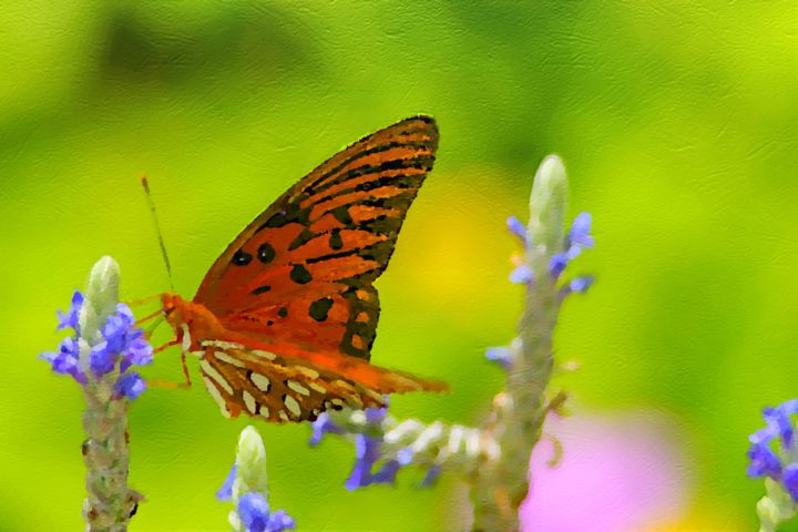 Фотография под названием "butterfly on purple…" - Padmanabha Joshi, Подлинное произведение искусства, Манипулированная фотог…