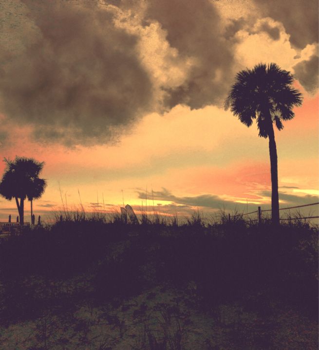 Photographie intitulée "sunset palm trees" par Padmanabha Joshi, Œuvre d'art originale, Photographie numérique
