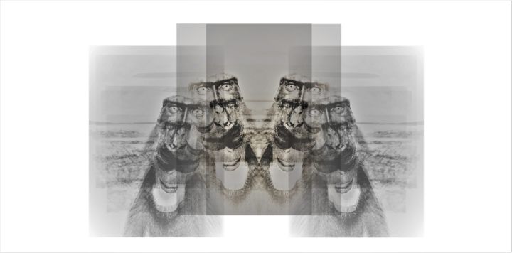 Digitale Kunst mit dem Titel "separazione" von Luis Padilla, Original-Kunstwerk, Collagen