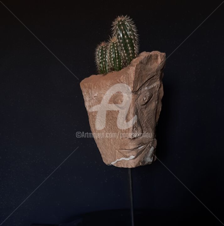 Scultura intitolato "" ANTHRO-POT  C"" da Pagès Du Pilou, Opera d'arte originale, Pietra