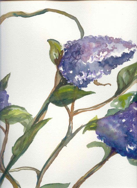 Painting titled "lilacs" by Amylee Peters, Original Artwork