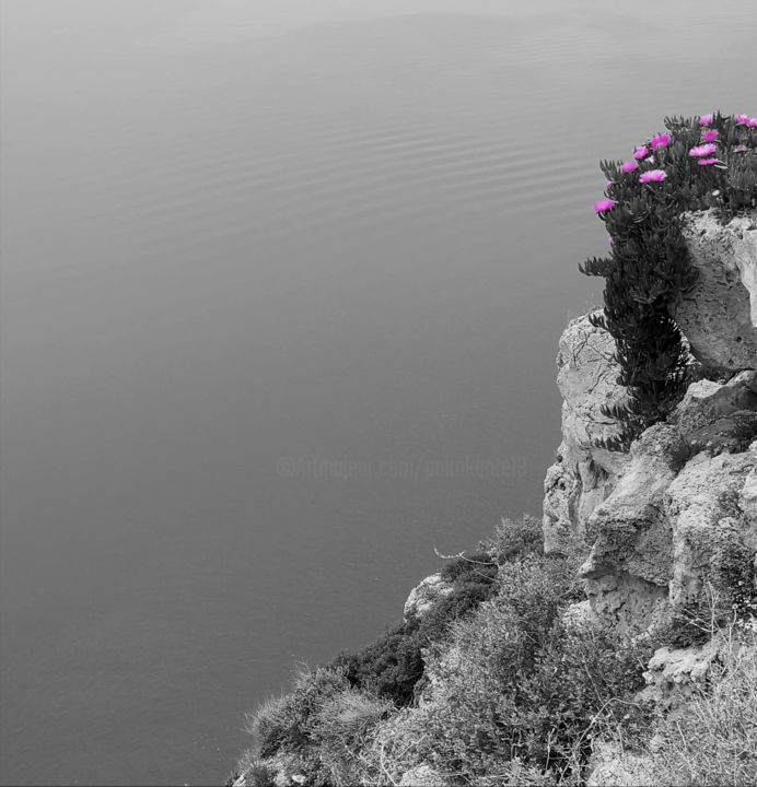 Fotografía titulada "Rocks, pink, sea" por Pakokante, Obra de arte original, Fotografía digital