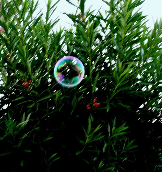 Fotografía titulada "Bubble" por Pakokante, Obra de arte original